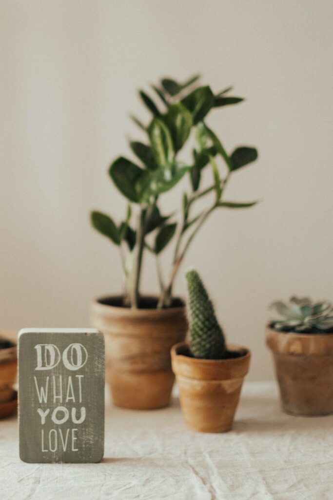 small trees and do what you love